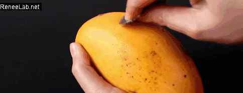 芒果怎么剥皮 原来芒果是这样扒皮的，就是这么简单！