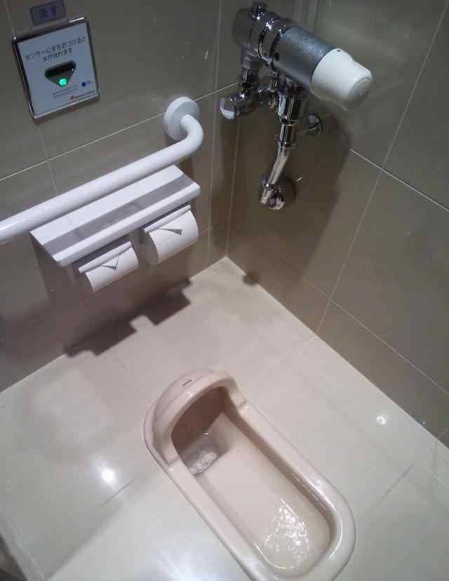 蹲厕 蹲厕是中国的特色吗?为何别的国家都只用马桶?
