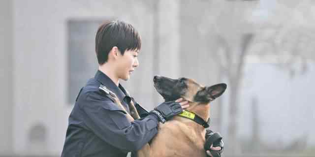 警花与警犬二上映时间 《警花与警犬2》迟迟未播，第3部将开拍，于和伟侯梦莎或客串出演