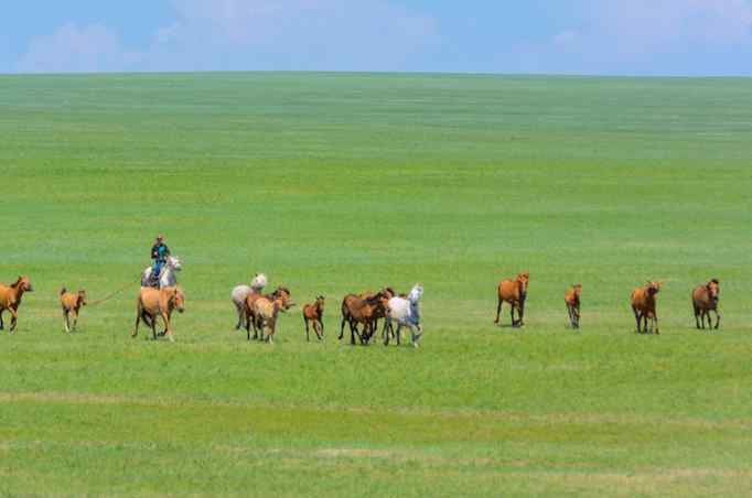内蒙古大草原旅游 国庆旅游 内蒙古大草原这些地方不可错过