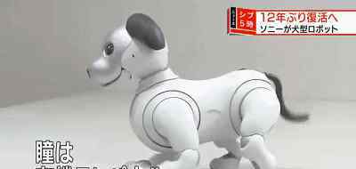 aibo 3E·北京消费电子展：索尼aibo机器狗强势登陆中国,今日起正式开售!