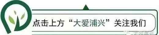 上海浦东招生办 浦东新区招生办公室关于2020年本区义务教育阶段学校招生入学的操作细则