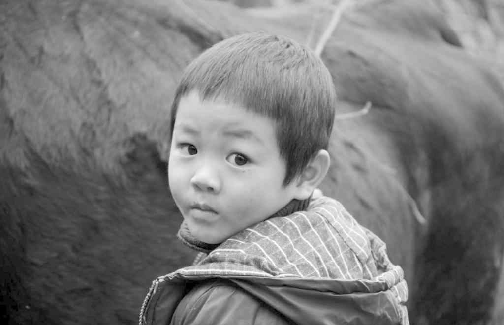 留守儿童教育 《2019年中国留守儿童心灵状况白皮书》：13.7%的儿童遭受四大暴力