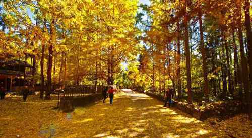 十月一旅游 10月适合去哪里旅游？ 中国6大最美秋色