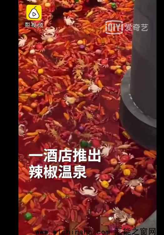 酒店回应温泉里放辣椒被指浪费 究竟回应说了什么