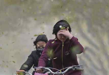 狭管效应 大风天气应该注意什么 大风天五个注意事项带你远离危险