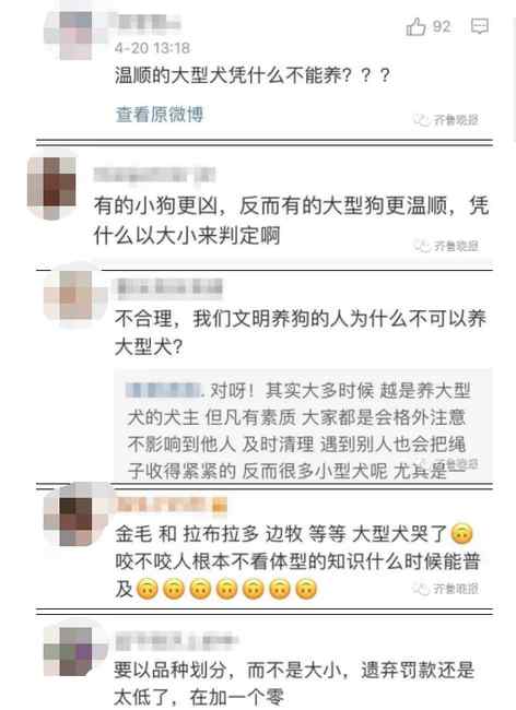 济南拟对遗弃犬只罚款2000元 每户只能养一只小型犬