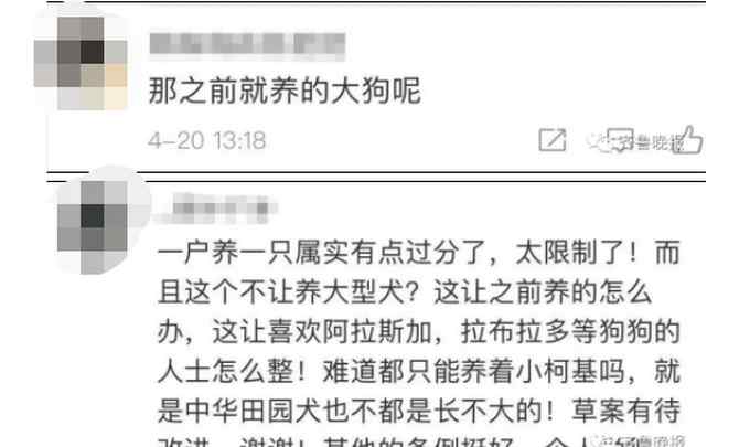 济南拟对遗弃犬只罚款2000元 每户只能养一只小型犬