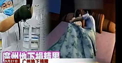 广州捐精qq群 开什么玩笑！广州地下捐精者直接与求孕女发生性关系