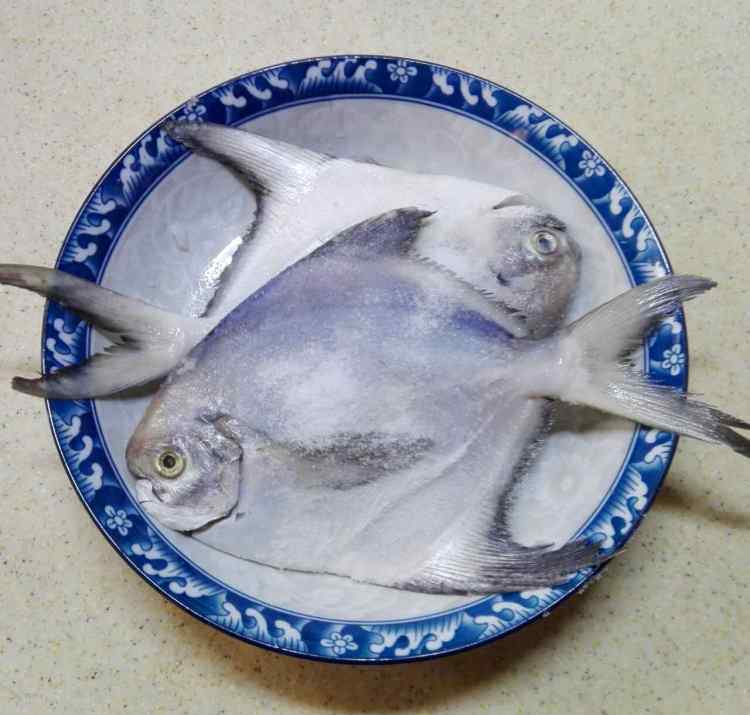 银鲳鱼的做法 清蒸银鲳鱼的简单做法 清蒸银鲳鱼做法大全