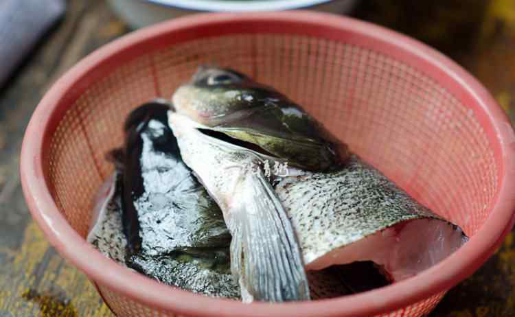 鱼汤的做法 鱼头豆腐汤做法和配方 鱼头豆腐汤做法详细步骤
