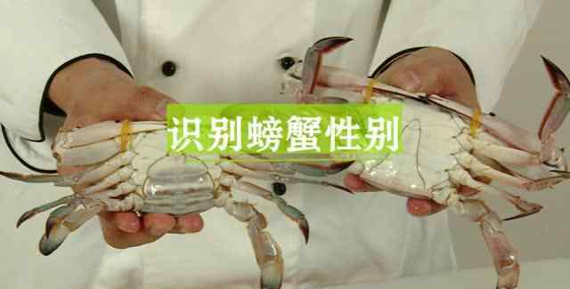 螃蟹的做法视频 螃蟹的处理方法简单又好吃的做法 螃蟹的处理方法做法和材料