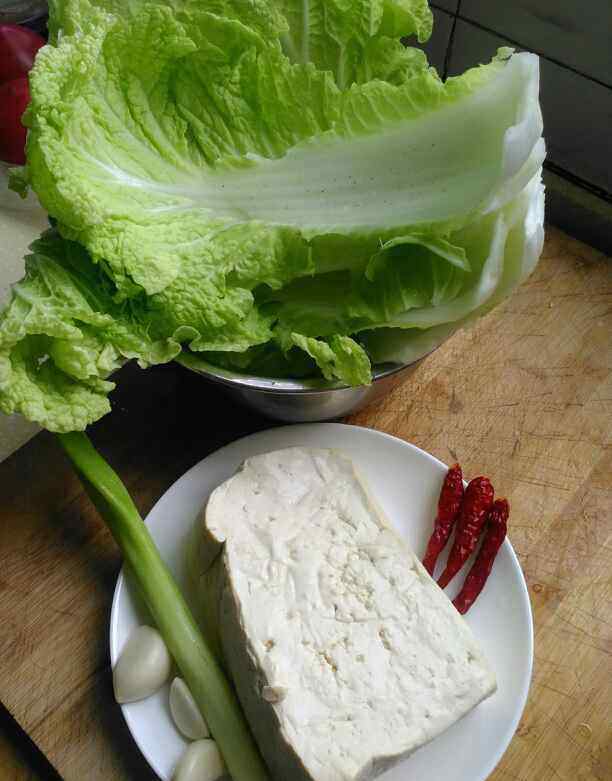 白菜炒豆腐的做法 白菜炒豆腐的家常做法 白菜炒豆腐食谱简单做法