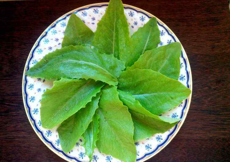 酱茄条的家常做法 风味酱茄条怎么做 风味酱茄条的做法大全