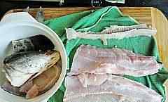 黑鱼的做法 酸菜鱼配方 酸菜鱼做法详细步骤