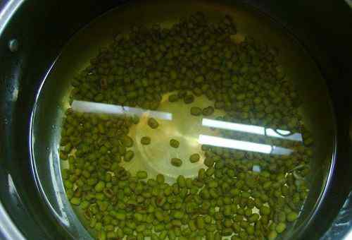 乳鸽绿豆汤 鸽子绿豆汤怎么做好吃 鸽子绿豆汤的做法大全