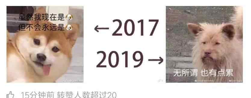 2017房子还值得投资吗 2017房价2019，你现在还买得起两年前的房子吗？