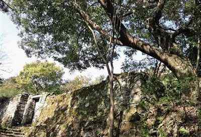 招提 一入招提便可家——古诗里的大罗山寺院