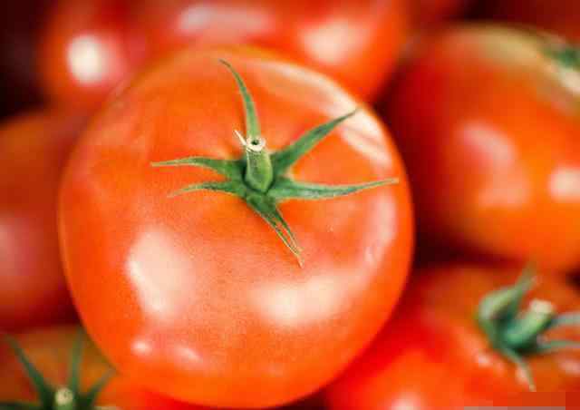 西红柿和番茄的区别 番茄为什么又硬又不好吃？没了儿时的味道，现在的西红柿和以前不同
