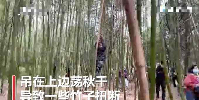 少林寺竹林被上百游客刻字 还有人吊在上边“荡秋千”！网友怒了