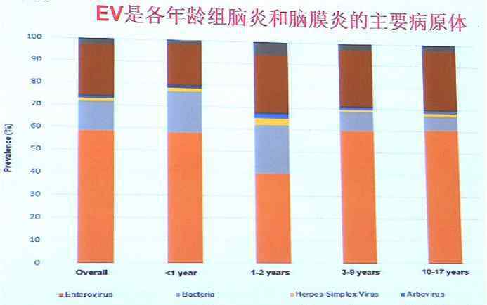 肠道病毒 宝宝的梦魇——肠道病毒，你了解多少？