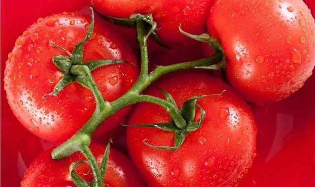西红柿和番茄的区别 番茄为什么又硬又不好吃？没了儿时的味道，现在的西红柿和以前不同