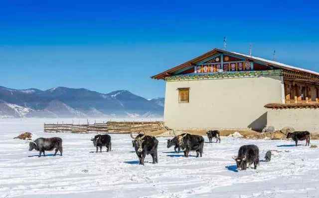 赏雪旅游 12月国内最佳旅行地：除了赏雪，竟然还有……