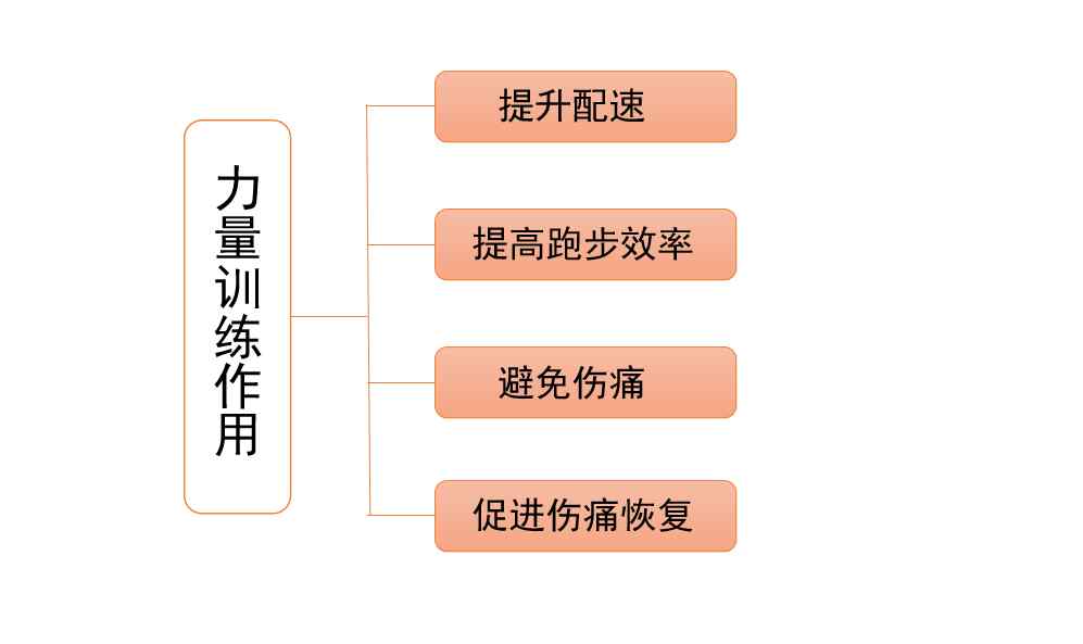 单腿硬拉 发现太迟！原来这些单腿训练如此高效！