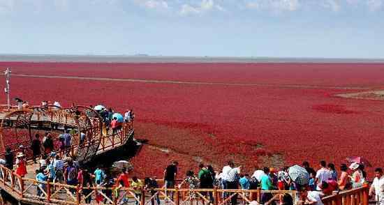 盘锦湿地旅游周 体验“湿地之都”不同的魅力？盘锦旅游等你来！