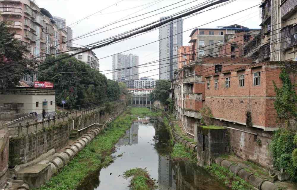 伤心凉粉 伤心凉粉悲，乐至烤肉欢