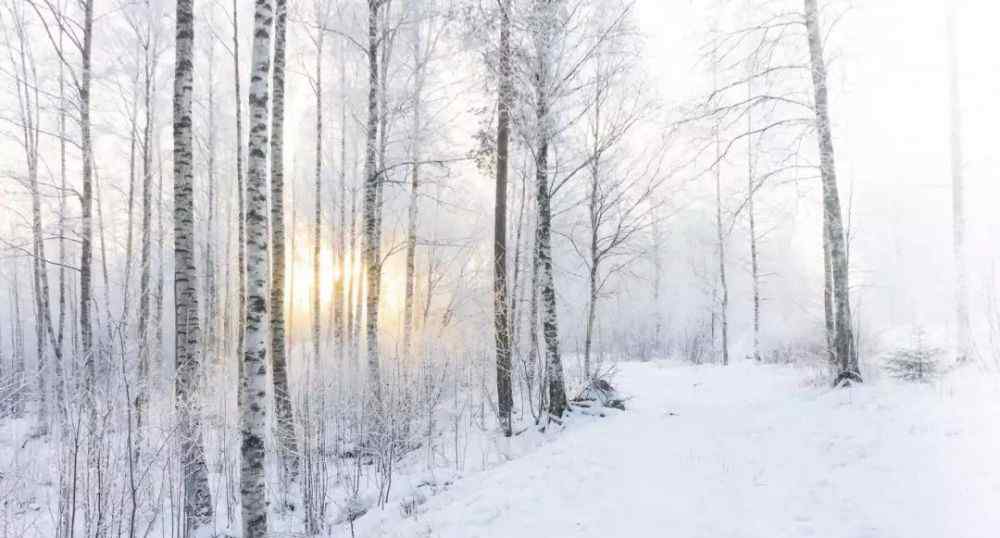 雪满庭 带你走进唐诗宋词里的最美雪景！