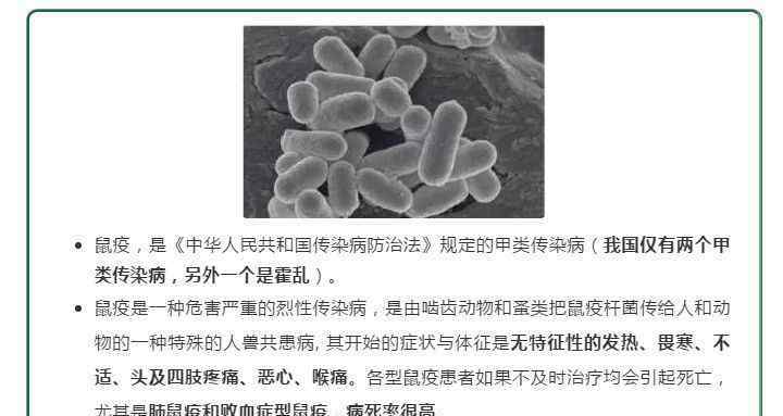 人间鼠疫 广东人间鼠疫已静息66年，省疾控：鼠疫可防可治，无需恐慌……