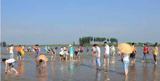 盘锦湿地旅游周 体验“湿地之都”不同的魅力？盘锦旅游等你来！