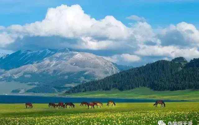 新疆旅游最佳季节 去新疆旅游的最佳时间是什么时候？