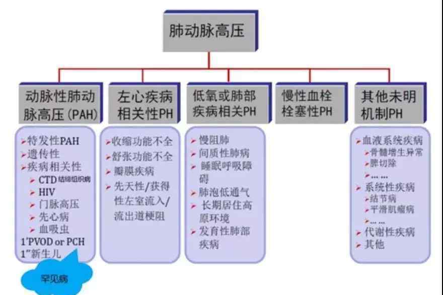 肺动脉高压能治吗 查出肺动脉高压，严重吗？能治吗？