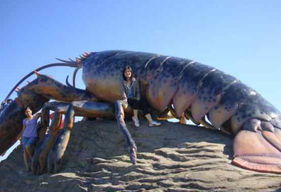 巨型龙虾身长333米 巨型龙虾身长17米图片，巨型龙虾可以吃吗