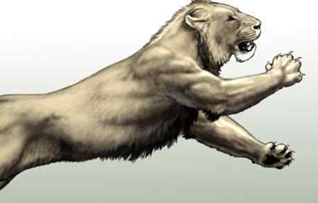 剑齿虎的天敌 世界最大猫科动物的对决！古狮VS剑齿虎，谁的战斗力更强？