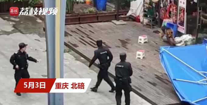 民警当街枪击德牧？警方回应：有报警称流浪犬扑咬群众