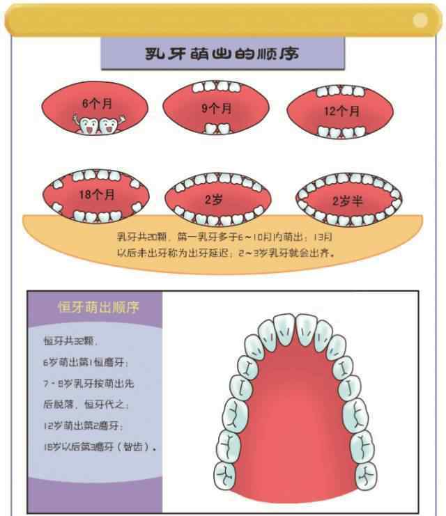 宝宝长牙图片最初图 详解：宝宝的长牙时间，一张图让你秒懂宝宝长牙顺序