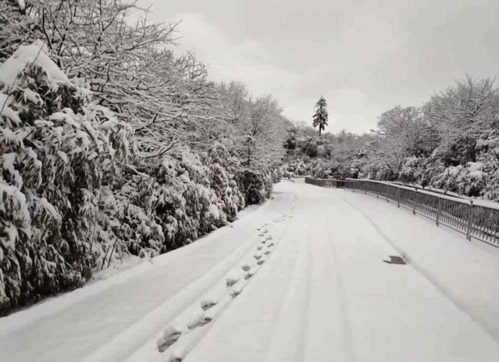 金佛山还有雪吗 金佛山今降大雪 周末又有好去处！