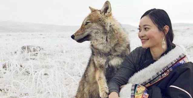 李微漪 她救下一被遗弃狼崽，并助它重返狼群，4年后成狼王，却不敢相认