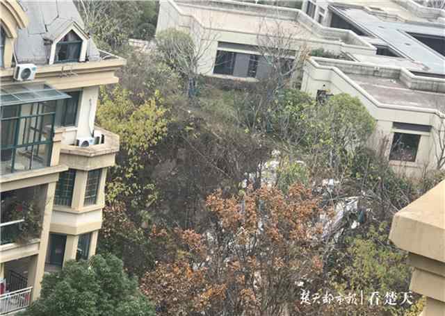 谓语城 每天一开窗，眼前是一堆建筑垃圾……