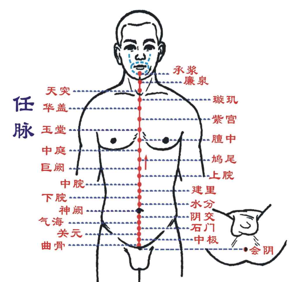 任脉的作用和功能 任脉腧穴按摩及功效