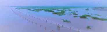 鄱阳湖在哪里 鄱阳湖的隐藏线路——中国最美“水上公路”