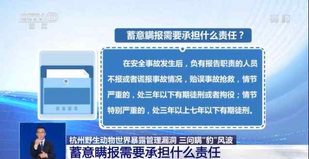 央视灵魂三问豹子风波 过程真相详细揭秘！