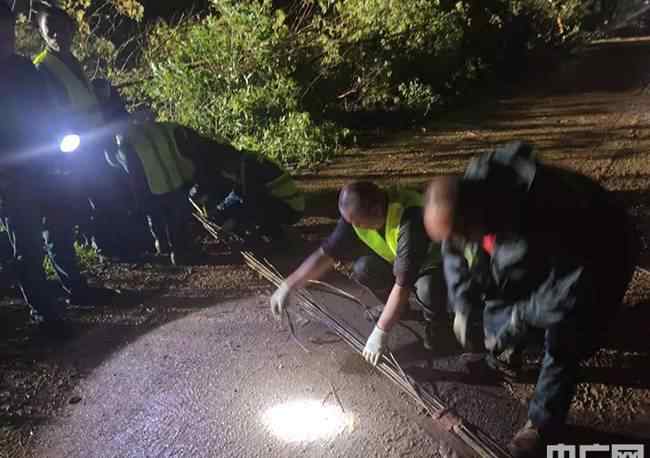 武汉蔡甸遭遇9级龙卷风 登上网络热搜了！