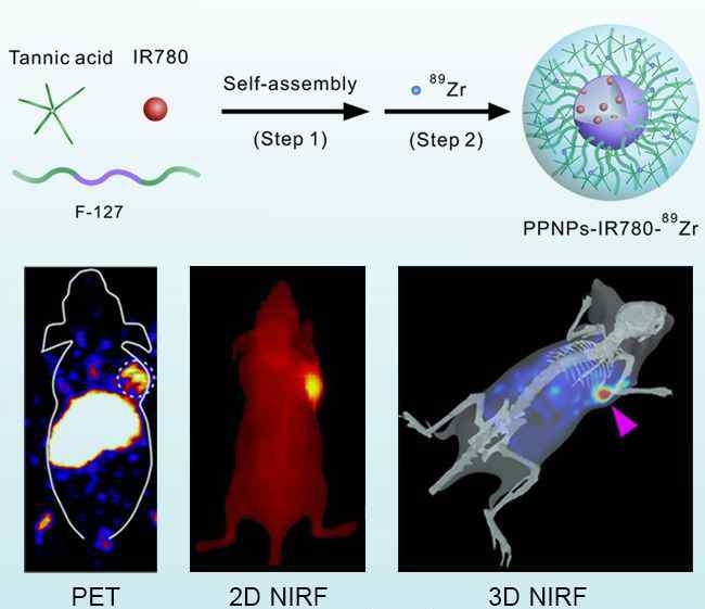 泊洛沙姆 Advanced Healthcare Materials：多酚/泊洛沙姆自组装超分子纳米颗粒用于肿瘤NIRF / PET成像