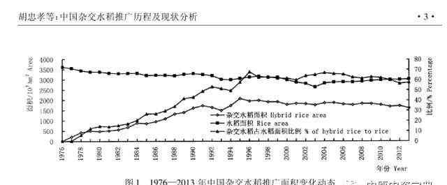 杂交水稻 【洞察】这是“断子绝孙”的种子？假如袁隆平没有育出杂交水稻..