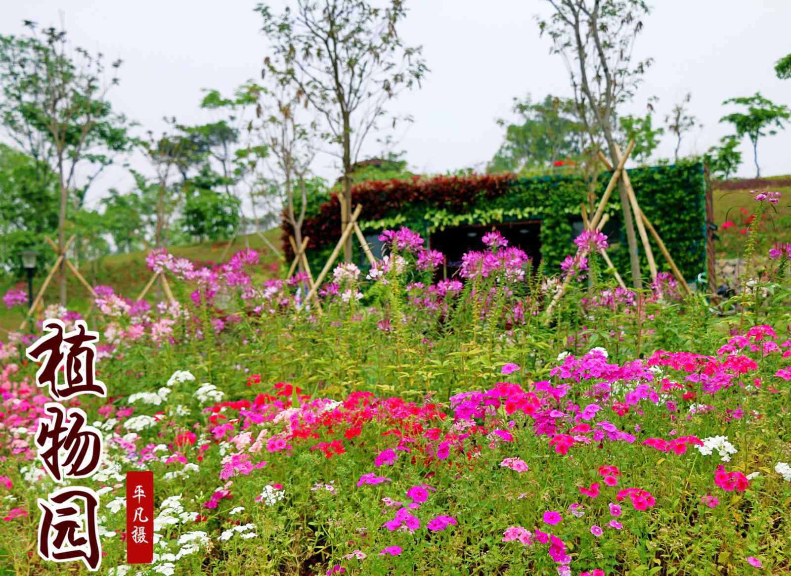 東莞綠色世界 達人戶外航拍東莞南城植物園綠色世界360度全景