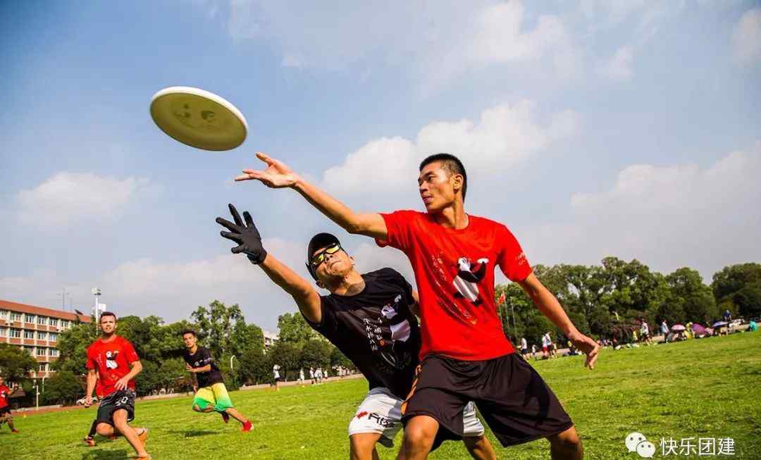 永远的飞盘 你一定会上瘾的团建：极限飞盘